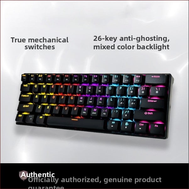 61 tipkovnica s žičnom konekcijom, mehanička, zelena osovina, miješano RGB osvjetljenje, vodootporna