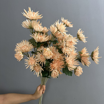 Τεχνητό λουλούδι Crab Claw Chrysanthemum για φωτογράφηση και διακόσμηση σπιτιού — Designer Chrysanthemum, πλαστικό, μάρκα Flower King, στυλιστική επεξεργασία και έγχυση, ποικιλία 1326527568, κατάλληλο για γάμους, εξωτερικούς χώρους, φωτογραφικά αντικείμενα