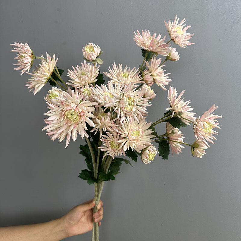 Τεχνητό λουλούδι Crab Claw Chrysanthemum για φωτογράφηση και διακόσμηση σπιτιού — Designer Chrysanthemum, πλαστικό, μάρκα Flower King, στυλιστική επεξεργασία και έγχυση, ποικιλία 1326527568, κατάλληλο για γάμους, εξωτερικούς χώρους, φωτογραφικά αντικείμενα