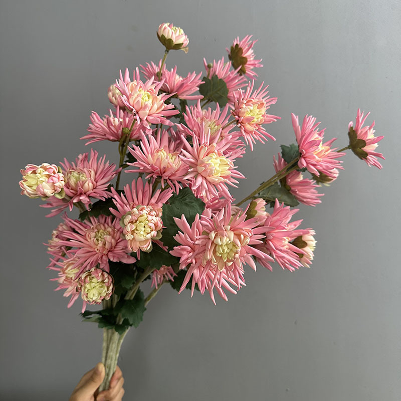 Τεχνητό λουλούδι Crab Claw Chrysanthemum για φωτογράφηση και διακόσμηση σπιτιού — Designer Chrysanthemum, πλαστικό, μάρκα Flower King, στυλιστική επεξεργασία και έγχυση, ποικιλία 1326527568, κατάλληλο για γάμους, εξωτερικούς χώρους, φωτογραφικά αντικείμενα