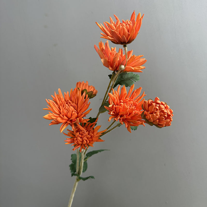 Τεχνητό λουλούδι Crab Claw Chrysanthemum για φωτογράφηση και διακόσμηση σπιτιού — Designer Chrysanthemum, πλαστικό, μάρκα Flower King, στυλιστική επεξεργασία και έγχυση, ποικιλία 1326527568, κατάλληλο για γάμους, εξωτερικούς χώρους, φωτογραφικά αντικείμενα