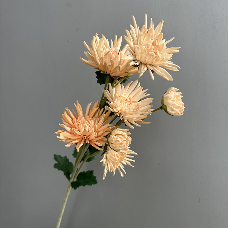 Τεχνητό λουλούδι Crab Claw Chrysanthemum για φωτογράφηση και διακόσμηση σπιτιού — Designer Chrysanthemum, πλαστικό, μάρκα Flower King, στυλιστική επεξεργασία και έγχυση, ποικιλία 1326527568, κατάλληλο για γάμους, εξωτερικούς χώρους, φωτογραφικά αντικείμενα