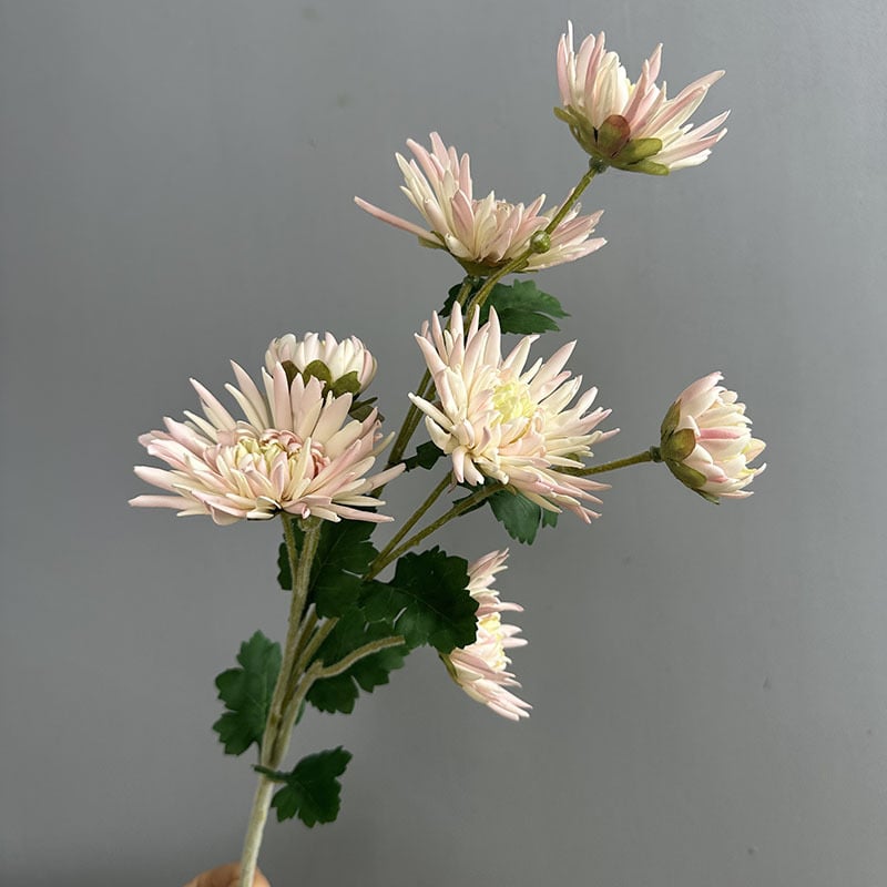 Τεχνητό λουλούδι Crab Claw Chrysanthemum για φωτογράφηση και διακόσμηση σπιτιού — Designer Chrysanthemum, πλαστικό, μάρκα Flower King, στυλιστική επεξεργασία και έγχυση, ποικιλία 1326527568, κατάλληλο για γάμους, εξωτερικούς χώρους, φωτογραφικά αντικείμενα