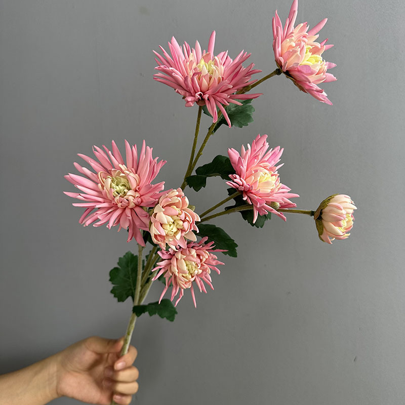 Τεχνητό λουλούδι Crab Claw Chrysanthemum για φωτογράφηση και διακόσμηση σπιτιού — Designer Chrysanthemum, πλαστικό, μάρκα Flower King, στυλιστική επεξεργασία και έγχυση, ποικιλία 1326527568, κατάλληλο για γάμους, εξωτερικούς χώρους, φωτογραφικά αντικείμενα