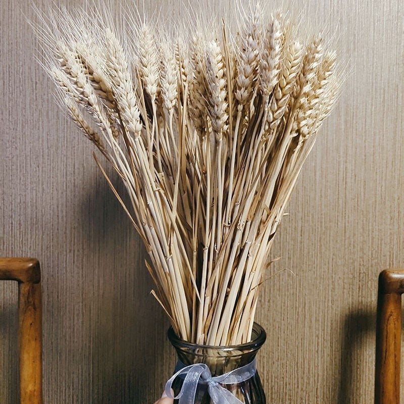 Διάκοσμητικό με αυτιά ρυζιού και αποξηραμένα άνθη για γάμους, φωτογραφικά σκηνικά και διακόσμηση σπιτιού