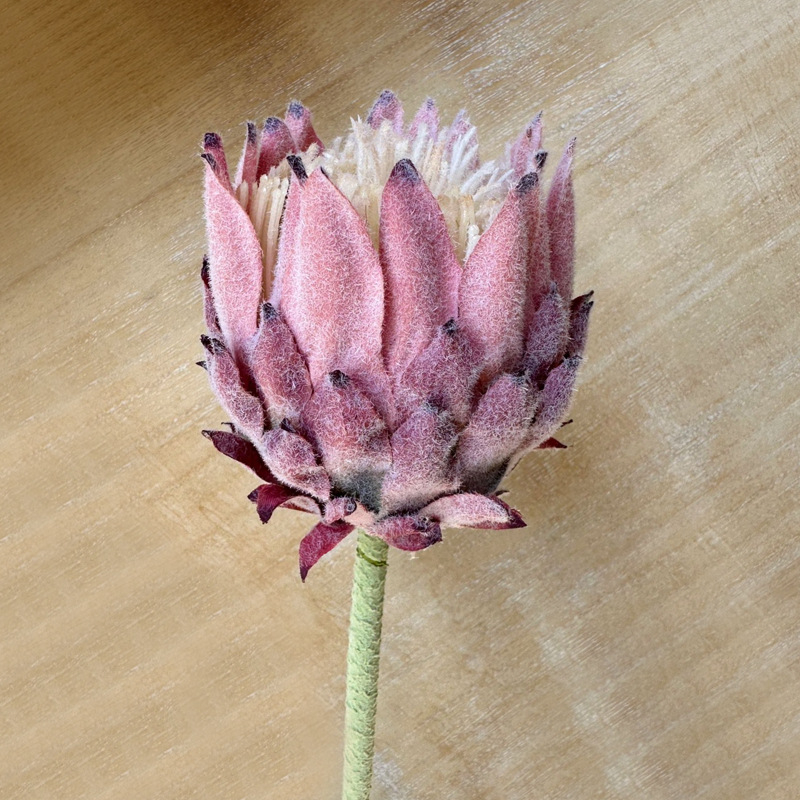 Umjetni cvijet, jedno grančica, flokovani završetak, materijal: plastika i svila, sorta Northern thistle