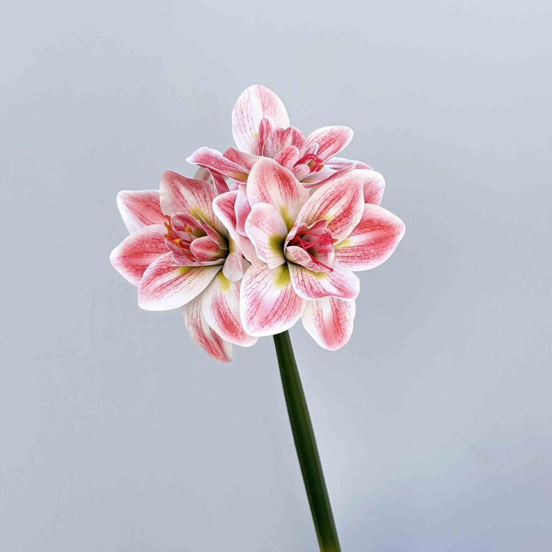 Umjetni Clivia cvijet, PU materijal, Marke Shengshi, Sorte 138007052, Doma dekoracija i rekviziti za fotografiju