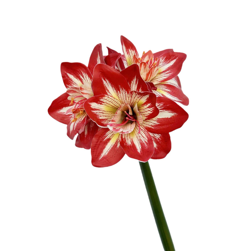 Umjetni Clivia cvijet, PU materijal, Marke Shengshi, Sorte 138007052, Doma dekoracija i rekviziti za fotografiju
