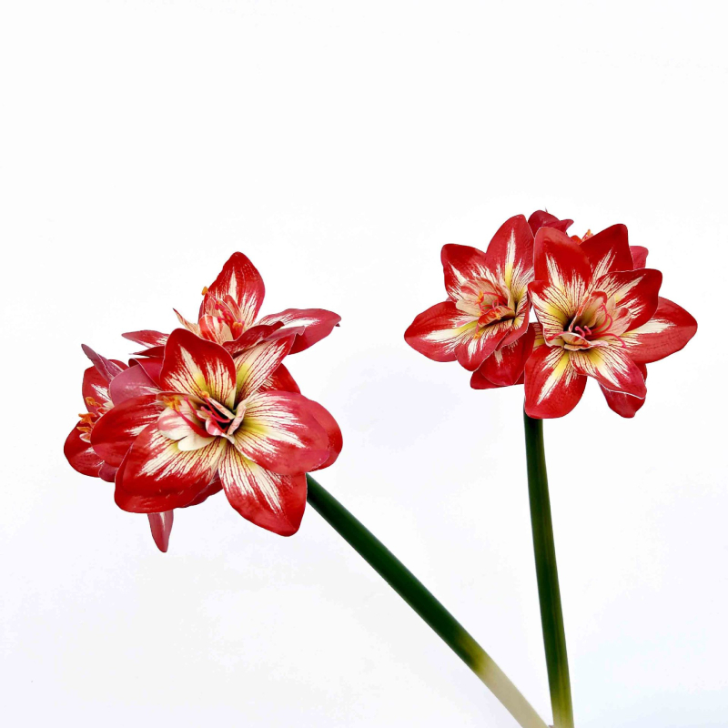 Umjetni Clivia cvijet, PU materijal, Marke Shengshi, Sorte 138007052, Doma dekoracija i rekviziti za fotografiju