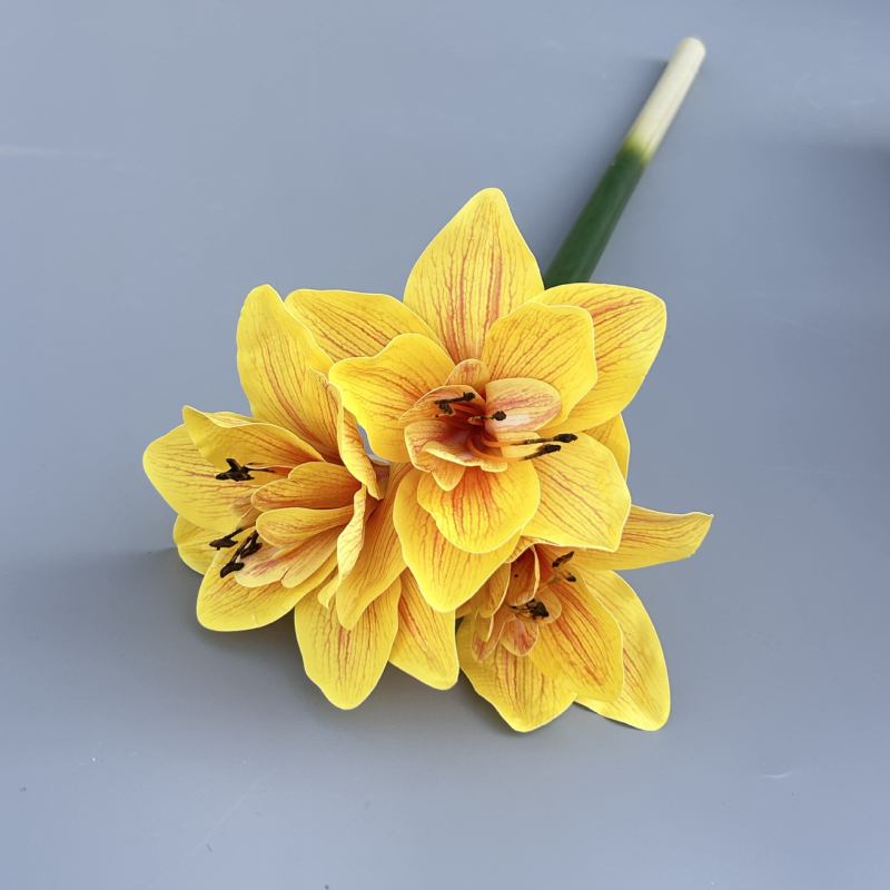 Umjetni Clivia cvijet, PU materijal, Marke Shengshi, Sorte 138007052, Doma dekoracija i rekviziti za fotografiju