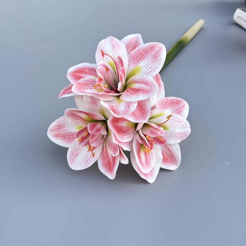 Umjetni Clivia cvijet, PU materijal, Marke Shengshi, Sorte 138007052, Doma dekoracija i rekviziti za fotografiju