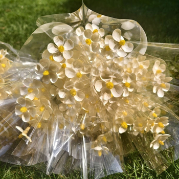 Букет сушени цветя с жилести листа, боядисани, за пакетчета