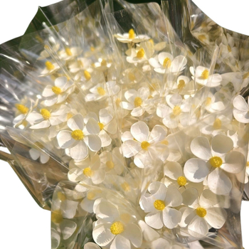 Букет сушени цветя с жилести листа, боядисани, за пакетчета