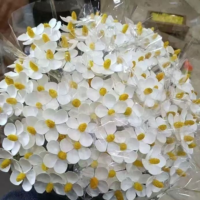 Букет сушени цветя с жилести листа, боядисани, за пакетчета