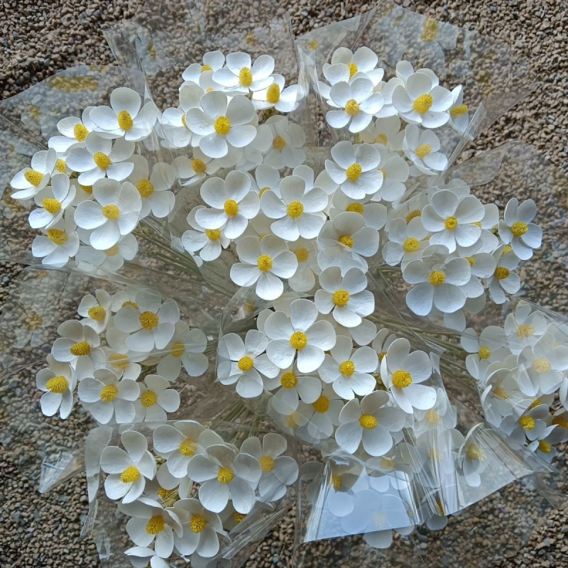 Букет сушени цветя с жилести листа, боядисани, за пакетчета