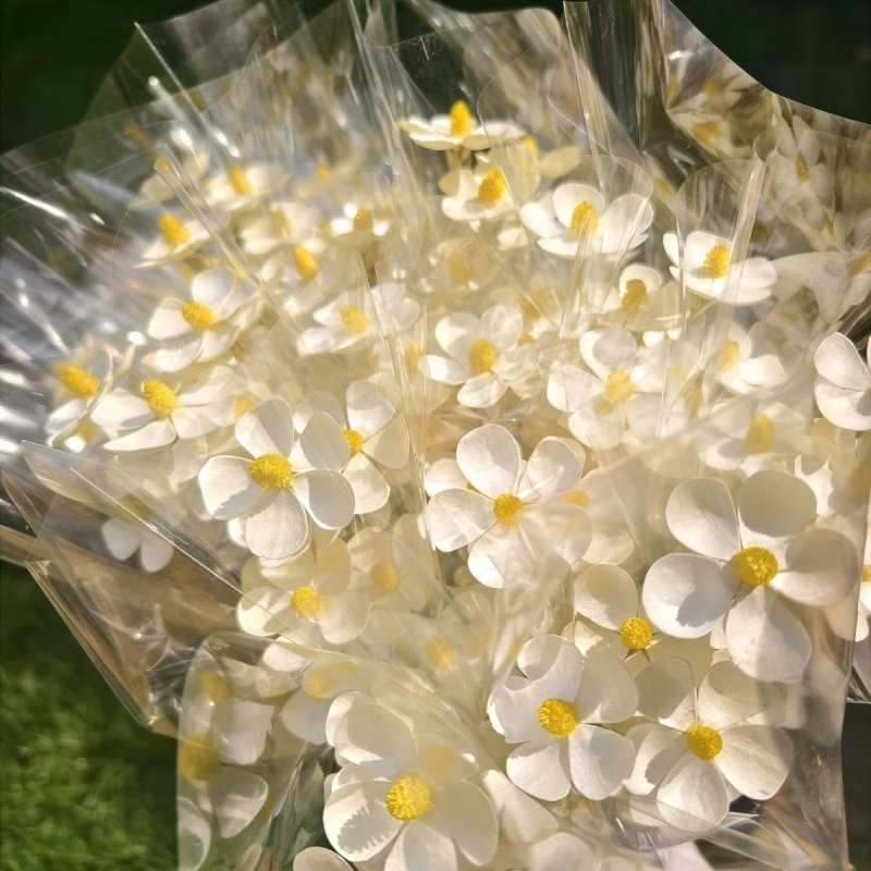 Букет сушени цветя с жилести листа, боядисани, за пакетчета