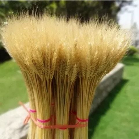 Szárított virágok zacskóba – festett, dekoratív száraz virágok