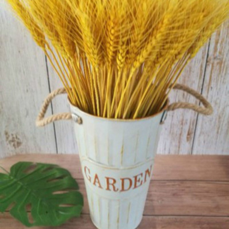 Szárított virágok zacskóba – festett, dekoratív száraz virágok