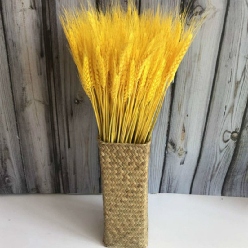 Szárított virágok zacskóba – festett, dekoratív száraz virágok