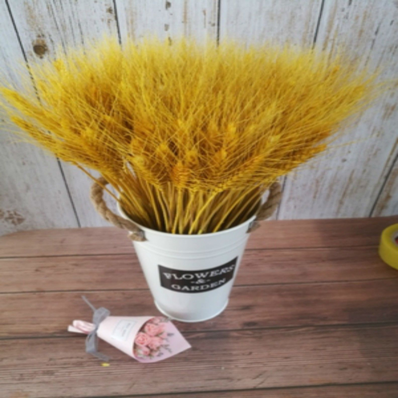 Szárított virágok zacskóba – festett, dekoratív száraz virágok