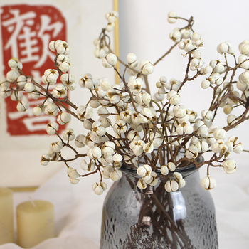 Сушени Umbrella Fruit клонки за стенна декорация, без багрила