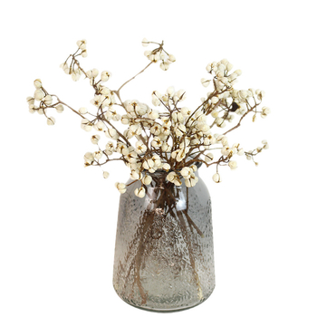 Сушени Umbrella Fruit клонки за стенна декорация, без багрила