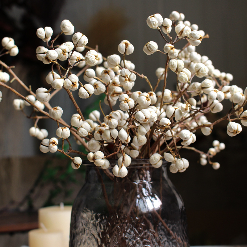 Сушени Umbrella Fruit клонки за стенна декорация, без багрила