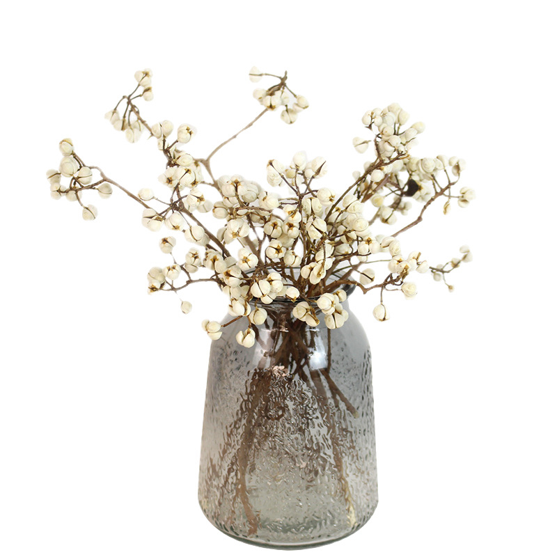 Сушени Umbrella Fruit клонки за стенна декорация, без багрила