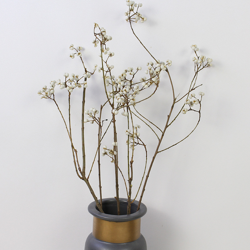 Сушени Umbrella Fruit клонки за стенна декорация, без багрила