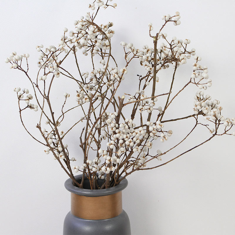 Сушени Umbrella Fruit клонки за стенна декорация, без багрила