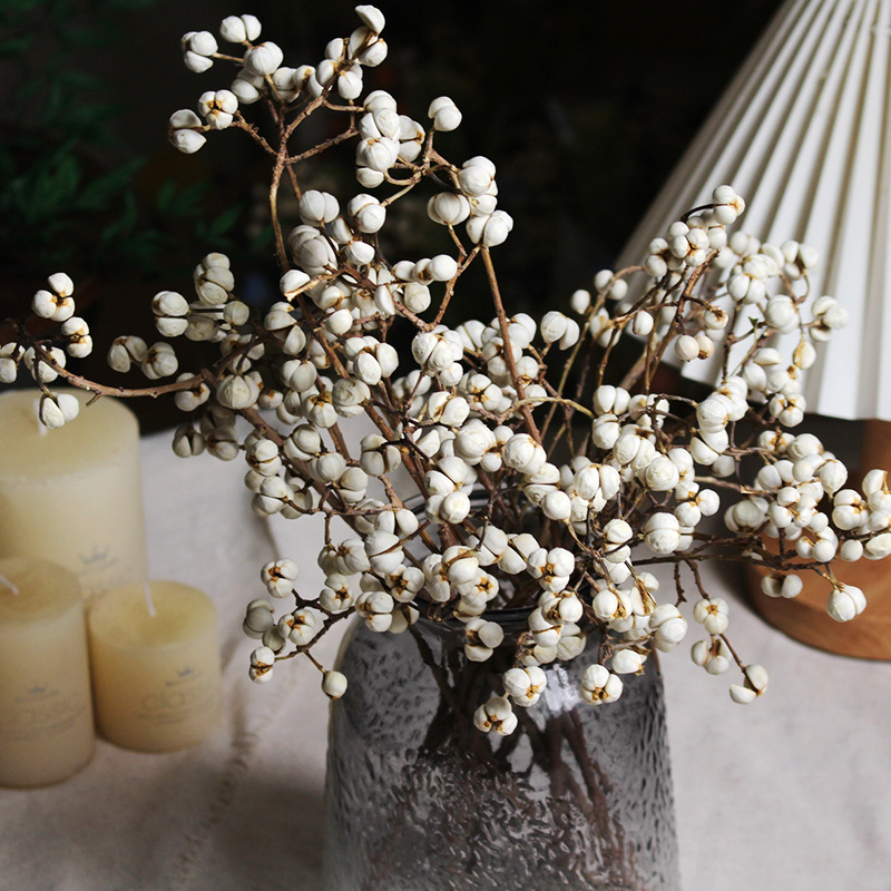 Сушени Umbrella Fruit клонки за стенна декорация, без багрила