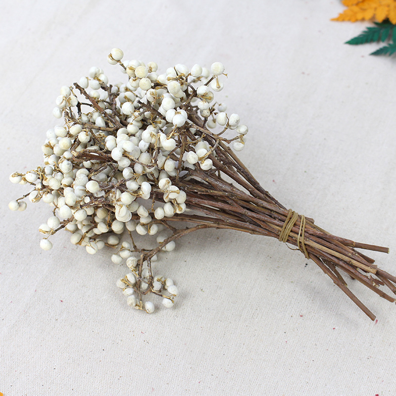 Сушени Umbrella Fruit клонки за стенна декорация, без багрила