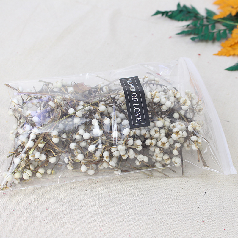 Сушени Umbrella Fruit клонки за стенна декорация, без багрила