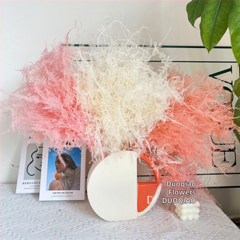 Висящо декоративно цвете, вечни цветя, сорт Аспарагус — Beautiful flowers