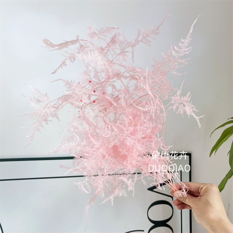 Висящо декоративно цвете, вечни цветя, сорт Аспарагус — Beautiful flowers