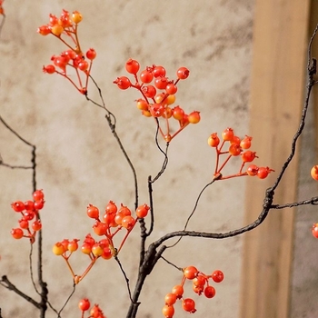 Svileni umjetni cvijet, jednostruka grančica, Wabi-Sabi suhi izgled, kućna dekoracija.