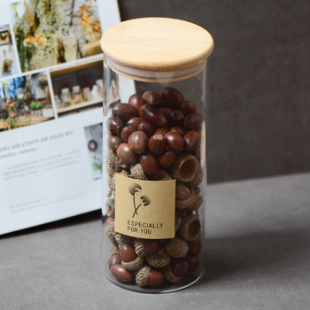 ACORN természetes szárított gyümölcsök, valódi makk, erdő-stílusú esküvői kiegészítők, szárított girland anyagok, fotózási kellékek, OPP zacskóban csomagolva