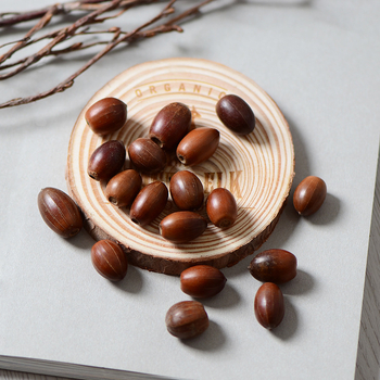 ACORN természetes szárított gyümölcsök, valódi makk, erdő-stílusú esküvői kiegészítők, szárított girland anyagok, fotózási kellékek, OPP zacskóban csomagolva