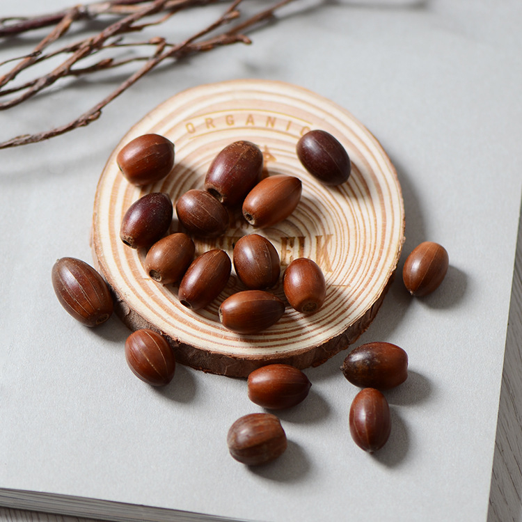 ACORN természetes szárított gyümölcsök, valódi makk, erdő-stílusú esküvői kiegészítők, szárított girland anyagok, fotózási kellékek, OPP zacskóban csomagolva