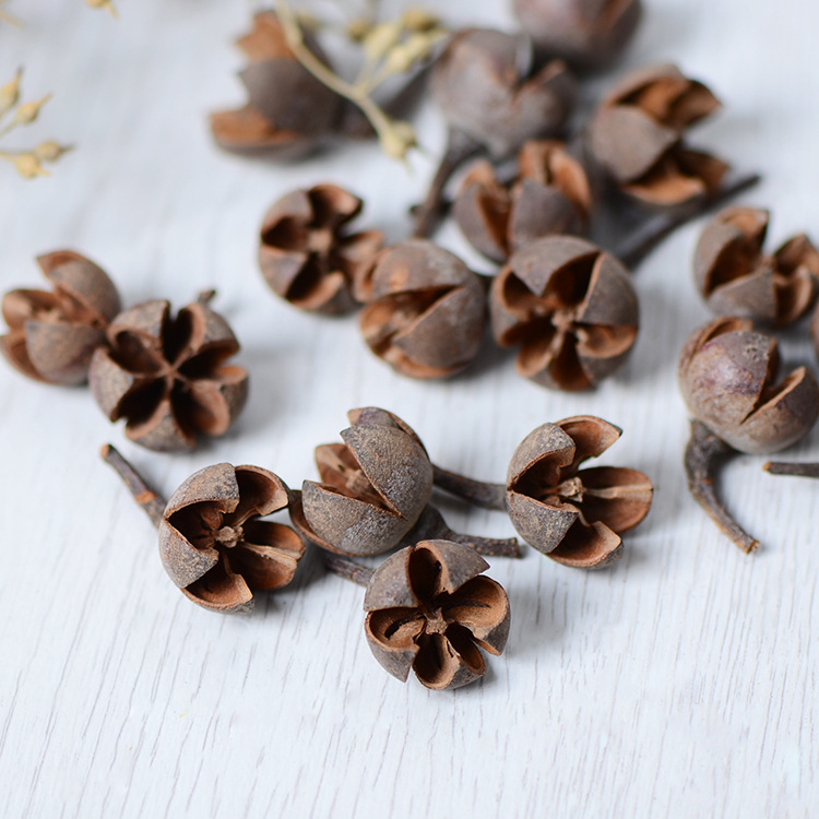 ACORN természetes szárított gyümölcsök, valódi makk, erdő-stílusú esküvői kiegészítők, szárított girland anyagok, fotózási kellékek, OPP zacskóban csomagolva