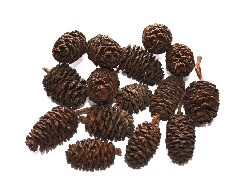 ACORN természetes szárított gyümölcsök, valódi makk, erdő-stílusú esküvői kiegészítők, szárított girland anyagok, fotózási kellékek, OPP zacskóban csomagolva