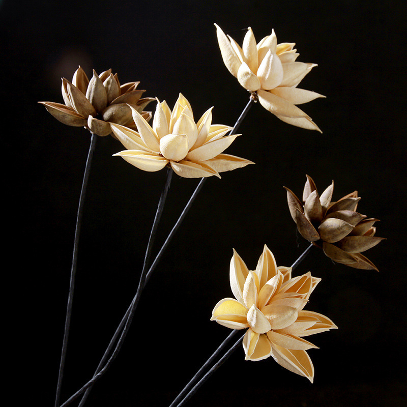 Szárított Bauhinia virág díszdarab — kínai zén stílusú vázadísz, kis csokor; Típus: Gyümölcs; Osztályozás: ragadós fű száraz virágai; Származik: Nem; Festett: Igen; Csomagolás: karton csomagolás