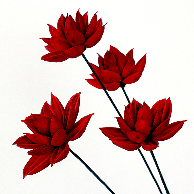 Szárított Bauhinia virág díszdarab — kínai zén stílusú vázadísz, kis csokor; Típus: Gyümölcs; Osztályozás: ragadós fű száraz virágai; Származik: Nem; Festett: Igen; Csomagolás: karton csomagolás