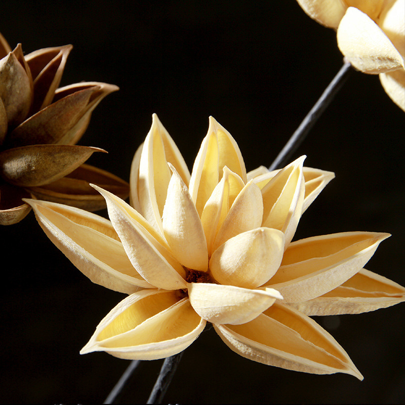 Szárított Bauhinia virág díszdarab — kínai zén stílusú vázadísz, kis csokor; Típus: Gyümölcs; Osztályozás: ragadós fű száraz virágai; Származik: Nem; Festett: Igen; Csomagolás: karton csomagolás