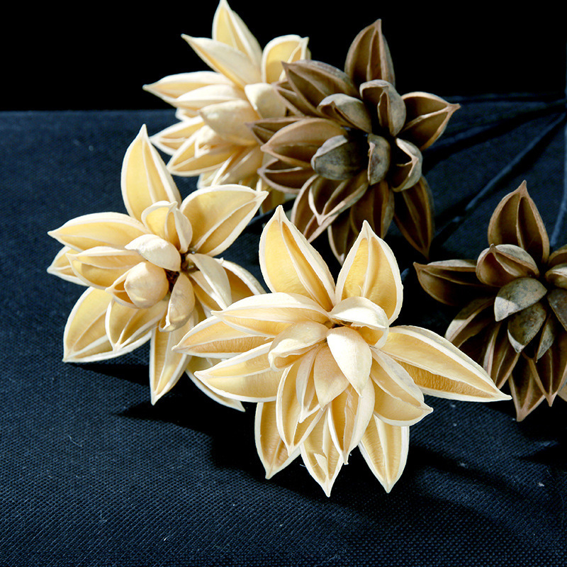 Szárított Bauhinia virág díszdarab — kínai zén stílusú vázadísz, kis csokor; Típus: Gyümölcs; Osztályozás: ragadós fű száraz virágai; Származik: Nem; Festett: Igen; Csomagolás: karton csomagolás