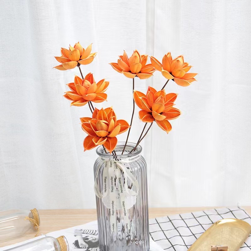 Szárított Bauhinia virág díszdarab — kínai zén stílusú vázadísz, kis csokor; Típus: Gyümölcs; Osztályozás: ragadós fű száraz virágai; Származik: Nem; Festett: Igen; Csomagolás: karton csomagolás