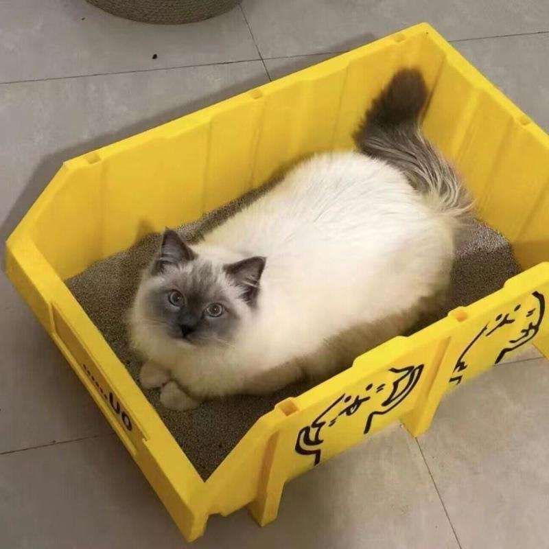 Maine Coon macskaalomtál – extrém nagy méret, gigantikus, teljesen nyitott kialakítás