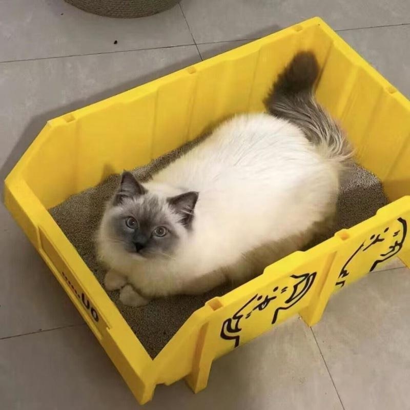 Maine Coon macskaalomtál – extrém nagy méret, gigantikus, teljesen nyitott kialakítás
