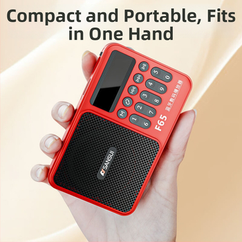 Sansui F65 Bluetooth audio atskaņotājs ar kartes slotu un radio, mono skaņa, 3W jauda