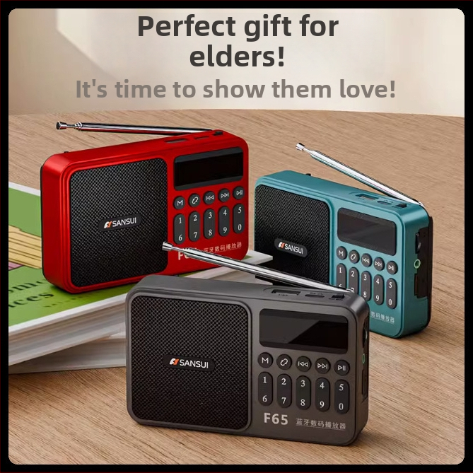 Sansui F65 Bluetooth audio atskaņotājs ar kartes slotu un radio, mono skaņa, 3W jauda